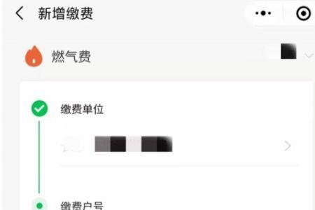 农村燃气费如何查询