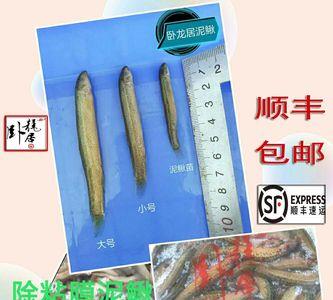 卧龙鱼是什么鱼