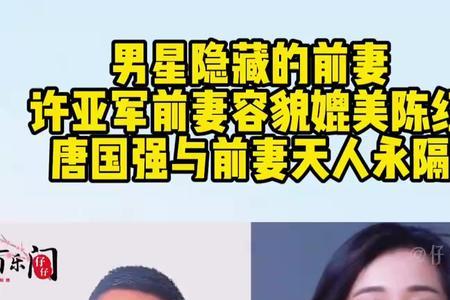 何琳是许亚军的前妻吗
