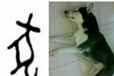 活脱脱的成语