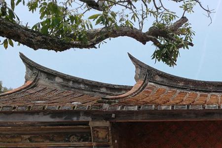 大厝什么意思