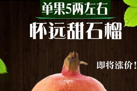 水果好评评语
