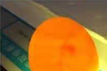鸭蛋孵化25天后注意事项