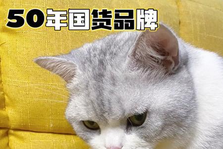 猫咪微生素营养片吃了爱睡觉吗