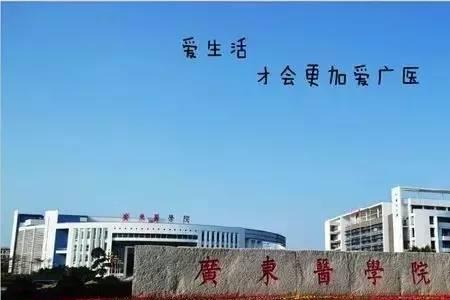 湛江医科大学几本