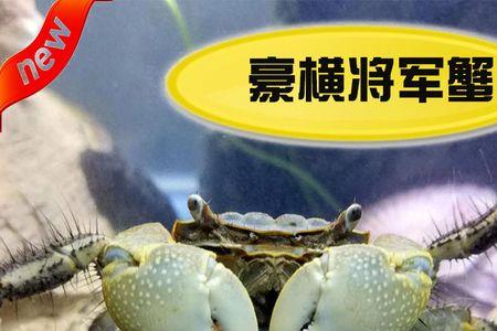 将军蟹可以深水养吗