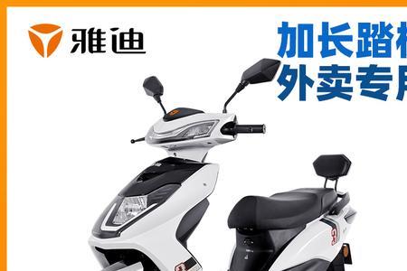 雅迪电动车电瓶是什么牌子
