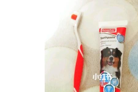 猫可以用儿童牙膏吗