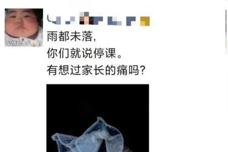 像极了什么意思