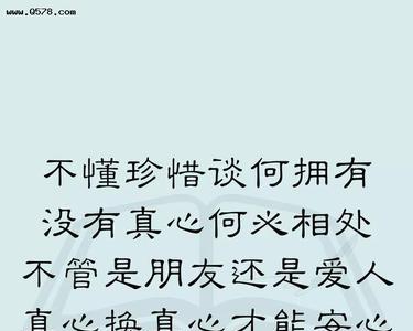 不懂之懂非懂啥意思