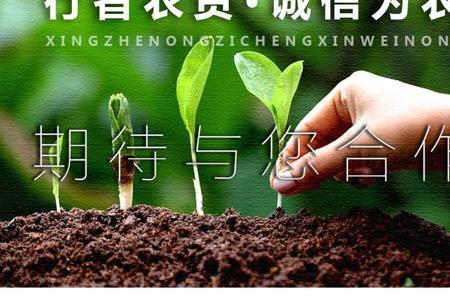 银法利和露娜森的区别