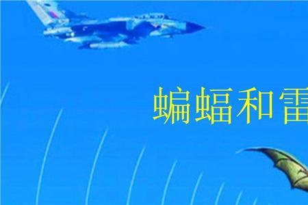 蝙的成语有哪些