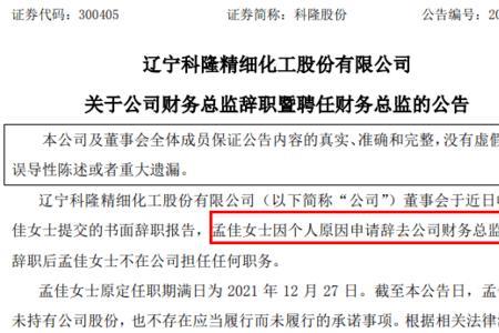 公司财务总监怎么称呼比较合适
