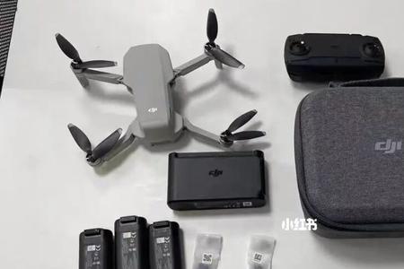 mini1支持环绕吗