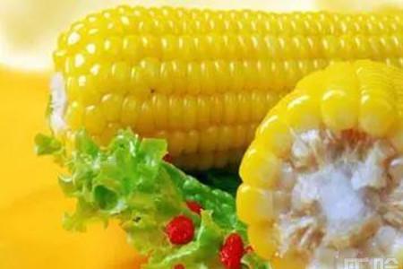 能用玉米喂葡萄吗