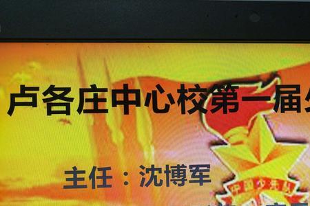 全国红领巾少工委怎么填