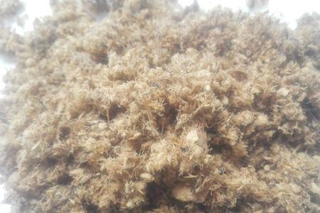 优质木浆和原生木浆的区别
