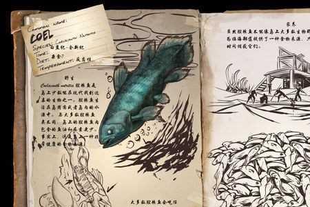 腔棘鱼可以在家养吗