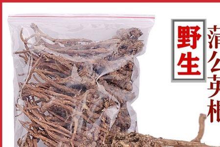 蒲公英根生虫子怎么办