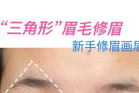 两条眉什么意思