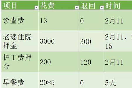 新生儿医保能报销分娩费用吗