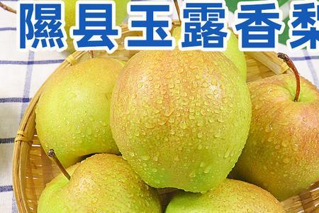 玉露香一亩地的多少花粉