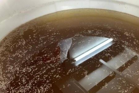 糖的什么性使发酵速度变慢