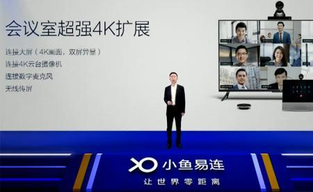 小鱼易连闪退