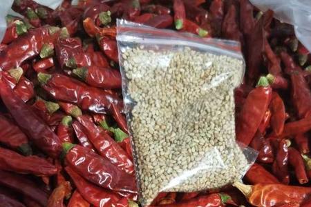 满天星辣度是小米辣的几倍