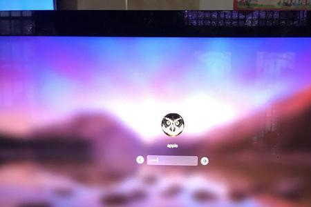 苹果电脑开机出现诊断怎么办