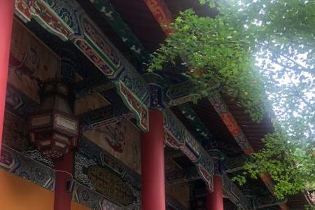 都江堰普照寺可以住宿吗