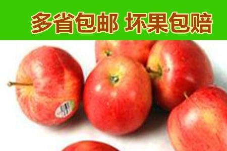 加力果和嘎啦苹果的区别