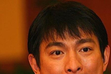 刘德华 第一个偶像