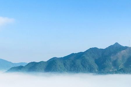 舟山有多少茶园