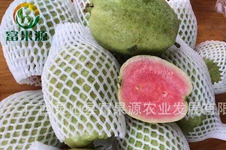 红芭乐是不是百香果