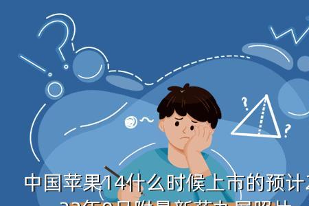 什么是药丸屏幕