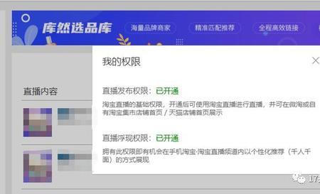 淘宝V2是什么级别
