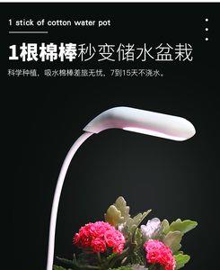 拍摄盆栽需要几个灯