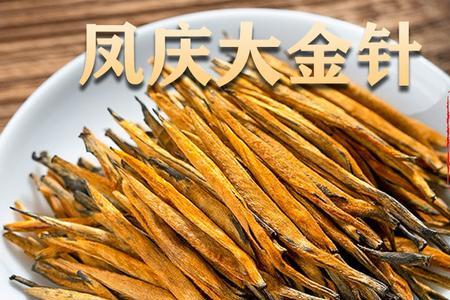 古树金针属什么茶