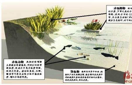 水体渗透压什么意思