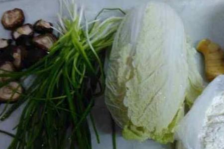 毛白菜做饺子用焯水吗