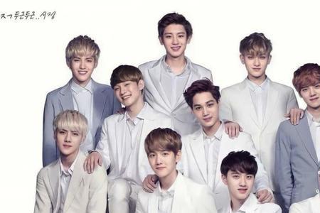 exo12人分别是什么担当