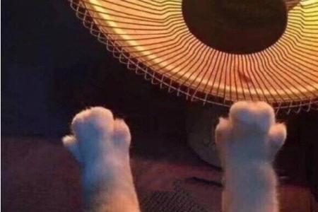 想起什么心情拔凉拔凉的