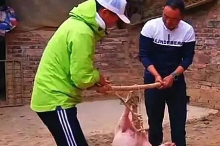 天天钓鱼怎么获得羊和鸭