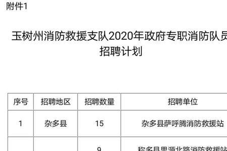 消防特殊专业岗位是什么