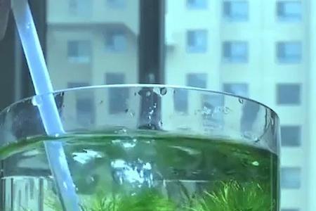 增氧泵坏了鱼缺氧怎么办