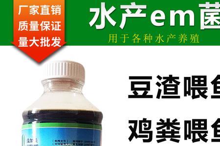 生牛肉可以喂鱼吗