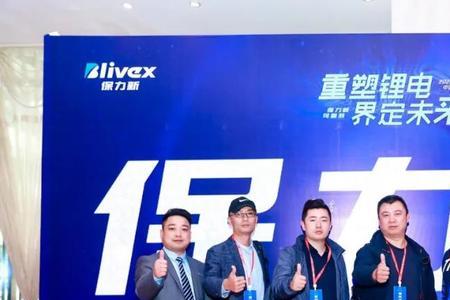 江苏保力新能源怎么样