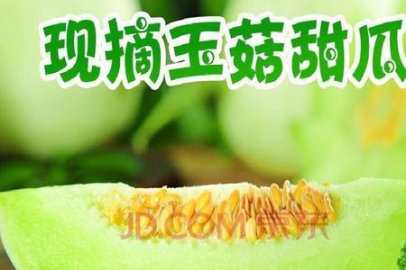 白玉瓜可以储存多久
