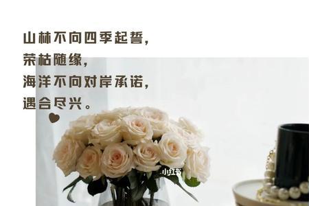 一朵玫瑰正在马不停蹄什么意思